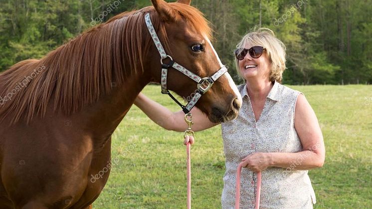 Frau mittleren Alters streichelt Pferd auf einer Wiese