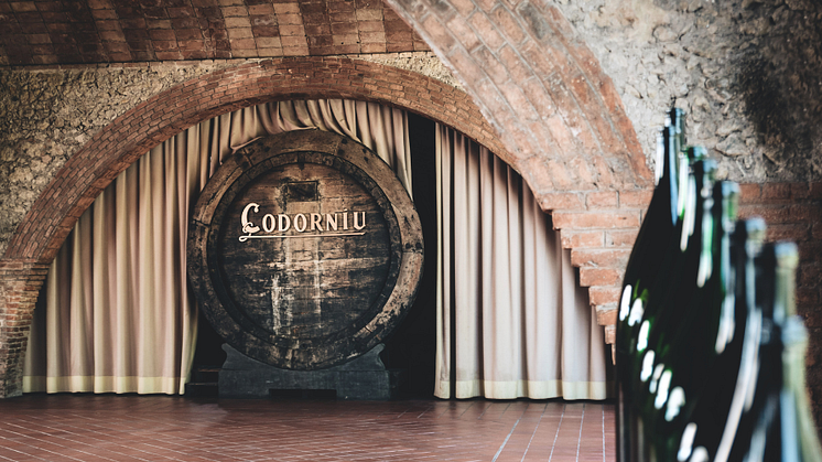 Nyhet i tillfälliga sortimentet - Codorníu Zero Sparkling