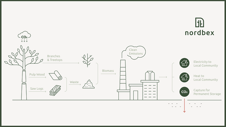 Bioenergy with carbon capture and storage
