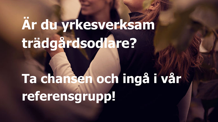 Vill du vara med och påverka framtidens trädgårdsodling i Jämtland?