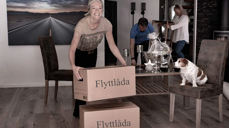 BostadCo.se ser ljusning och ökad rörlighet på fastighetsmarknaden i Halmstad