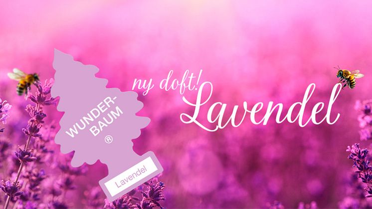 Wunder-Baum Lavendel ger en känsla av lugn