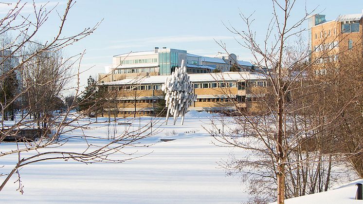 Umeå universitet, Luleå tekniska universitet, Mittuniversitetet, Högskolan i Gävle och Högskolan Dalarna har ingått en avsiktsförklaring om att samarbeta kring lärar- och förskollärarutbildning. Foto: Mattias Pettersson.