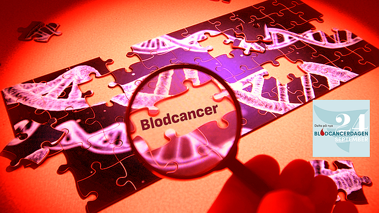 Blodcancer i fokus genom ett förstoringsglas på ett ej färdiglagd pussel om DNA