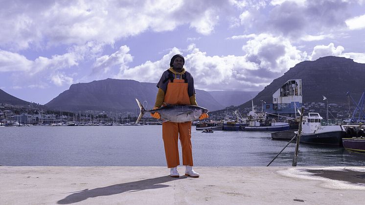 Tillgången på hållbar tonfisk ökar, fler certifierade fisken från Japan till Senegal