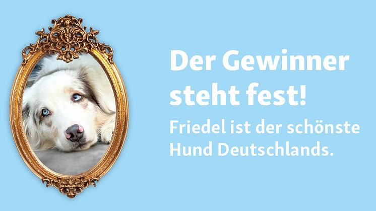 Der schönste Hund Deutschlands 2024 Friedel .jpg