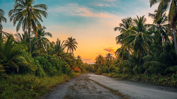 Oplev Mauritius - En perle i det Indiske Ocean