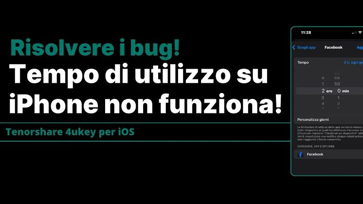 tempo di utilizzo iphone bug