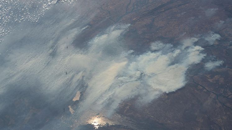 Skogbranner i Amazonas-regnskogen: Bildet er tatt fra den internasjonale romstasjonen i bane over grensen mellom Bolivia og Brasil i august 2020. Foto: Chris Cassidy / NASA