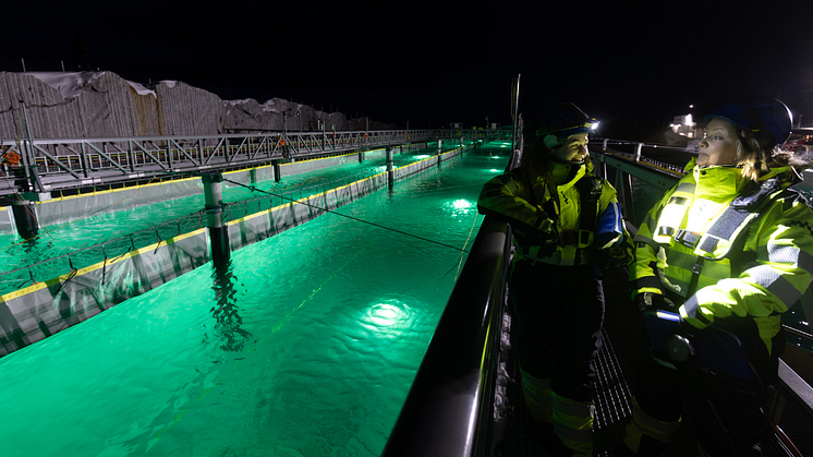 Ansatte ved havbassen -  lengdestrømskar på Indre Rosøy