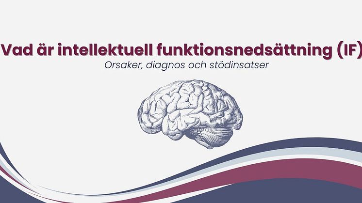 vad-ar-intellektuell-funktionsnedsattning-if.jpg