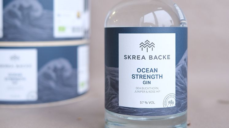 Bild på Skrea Ocean Strength GIn 