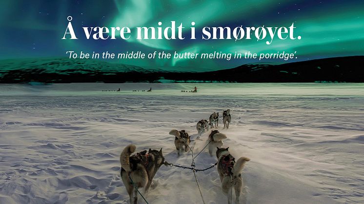 One example of Hurtigruten's new Norwegianess campaign.