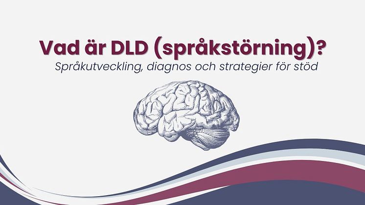 sprakstorning-dld-developmental-language-disorder.jpg