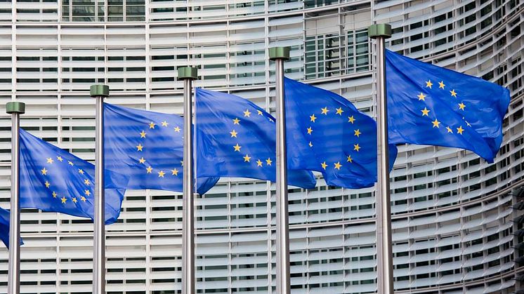 A petition submitted by Esther Roger, Director General of the Catalan Coeliac Association has been officially accepted by EU.