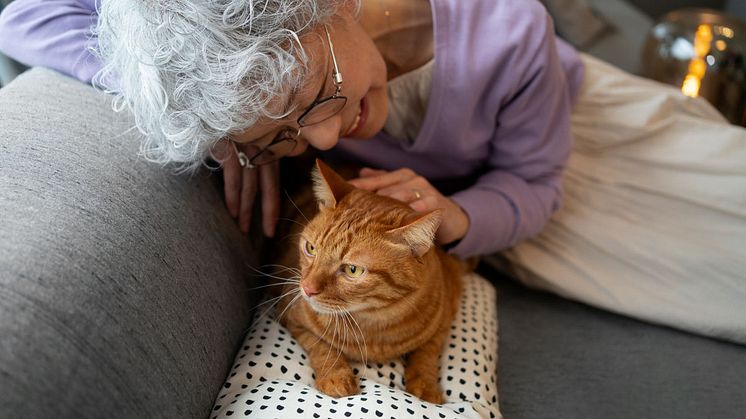 Vet vs Google: Pet owners turning to Google to diagnose pet health