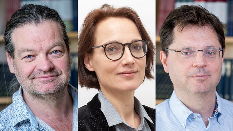 SNS Konjunkturråd 2025: Thomas Tangerås (ordförande), Chloé Le Coq och Pär Holmberg