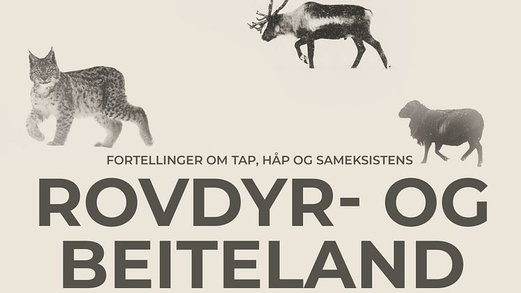 Ny kortfilm gir innblikk i beitenæringens utfordringer