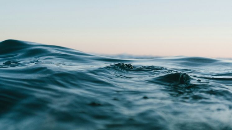 Foto: Matt Hardy, Unsplash