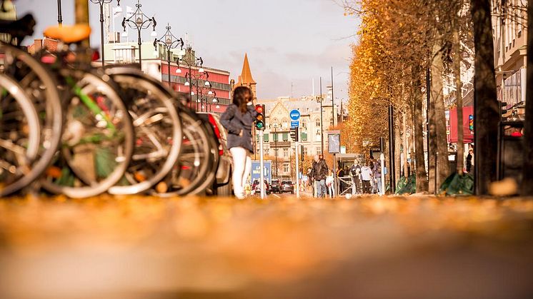 Nytt pilotprojekt skapar möjligheter för fler arbetstillfällen och en renare stad 