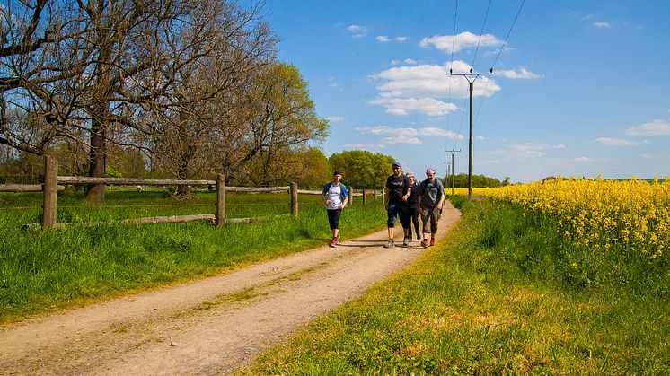 Das Leipziger Neuseenland entdecken: 7-Seen-Wanderung - Foto: Alexander Klich