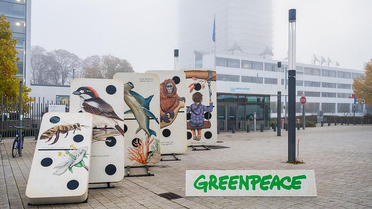 Greenpeace demonstriert mit riesigem Dominospiel vor UN-Gebäude in Bonn für besseren Naturschutz