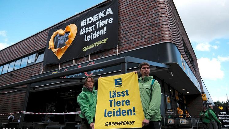 Greenpeace: „Edeka lässt Tiere leiden“