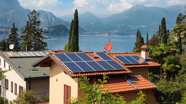 Renewable Energy Institute.webp