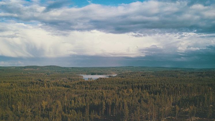 Nature_2