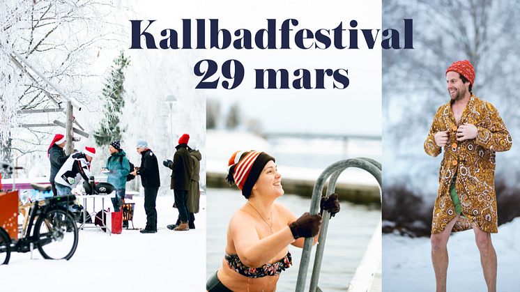 Skärmbild 2025-03-05 130829.png