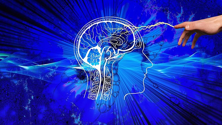 Dopamin och serotonin: Hjärnans gas och broms Pixabay CC0