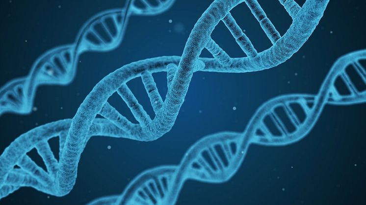 dna-1811955_1280.jpg