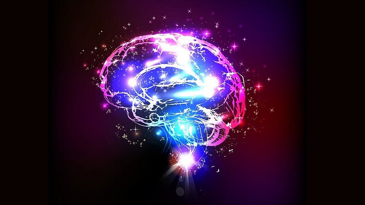 brain-5966091_1280.jpg