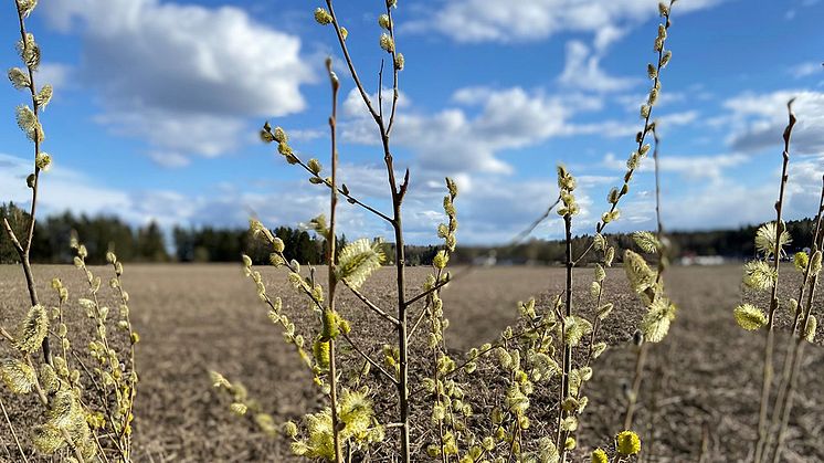 Sparbanken Västra Mälardalen planerar för framtiden. 