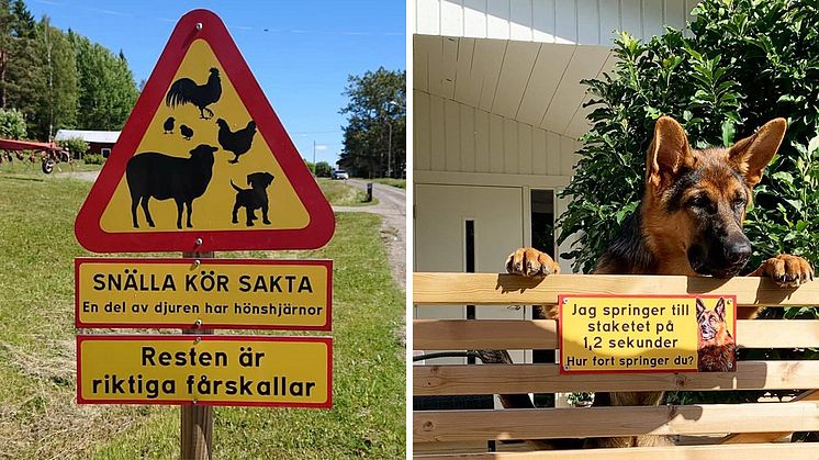 Fyndiga skyltar som värnar om djur och egendom