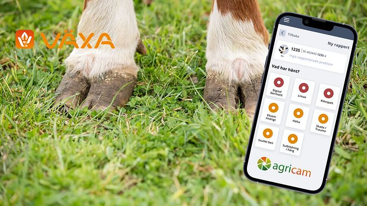Agricam och Växa integrerar sina digitala verktyg – KlövKoll, Nordic Claw App och Klövhälsa på nätet.