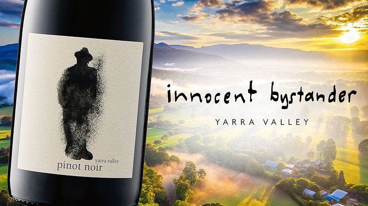 Innocent Bystander Pinot Noir - 169 kr