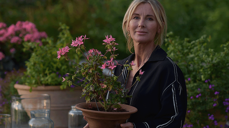 Årets Pelargon 2025 – Stjärnpelargon (Summer Twist-Serien) SUMMER TWIST ROSE