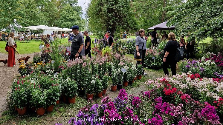 Gartenkunst, Kultur & Lebensart – das Parkfestival ROMANTIC GARDEN auf Rittergut Remeringhausen vom 02. - 04. August 2024