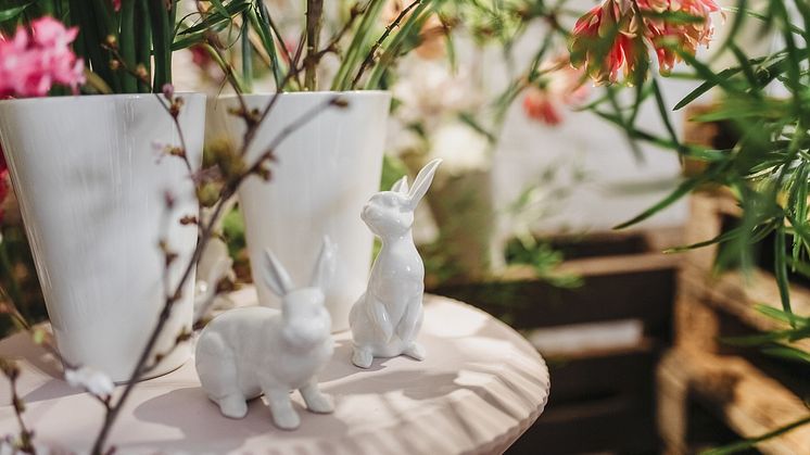 „Der Fürstenberg Hase lädt ein!“ – Kreativer Osterspaß im Museum Schloss Fürstenberg