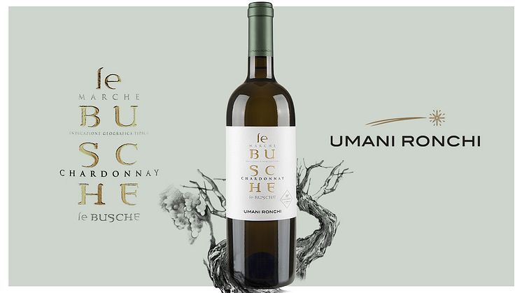Le Busche Chardonnay, 2022 - 199 kr