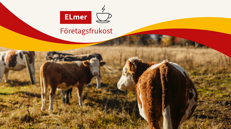 Företagsfrukost 3 juni-2-Inbjudan pdf A4.png