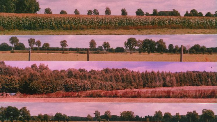 Ausschnitt von den Landschaftspartituren von der Künstlerin Christiane Hamacher