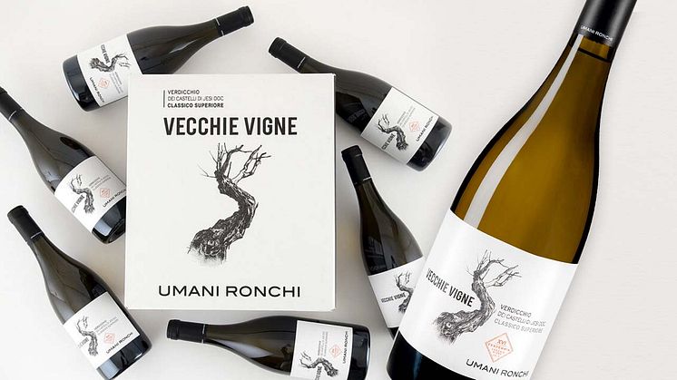 Vecchie Vigne Verdicchio 2022 - 179 kr