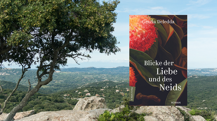 Cover "Blicke der Liebe und des Neids" von Grazia Deledda, dahinter Blick über Sardinien