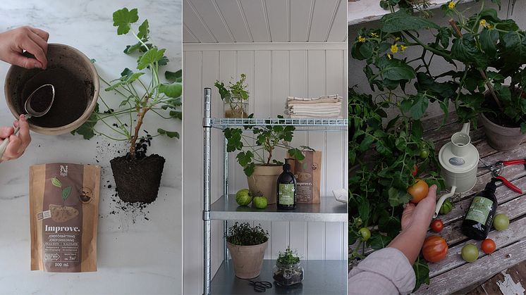 Nu välkomnar vi Nelson Garden till Pretopia!