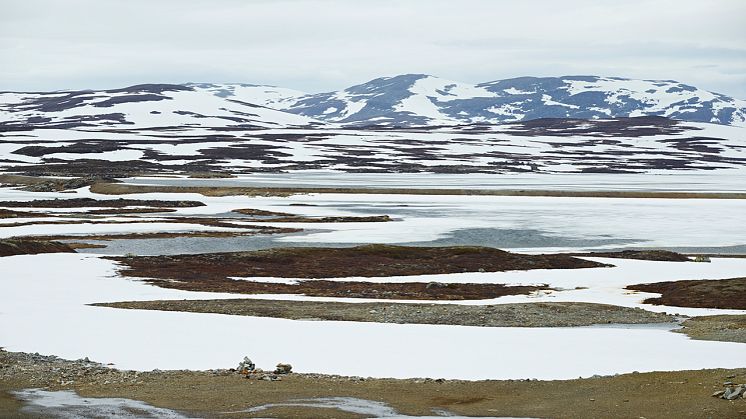 Under sommaren påbörjar Svevia ett tvåårigt uppdrag med att förstärka och lägga ny asflat på Vildmarksvägen, Sveriges högst belägna asfaltsväg. Foto: Jan Töve