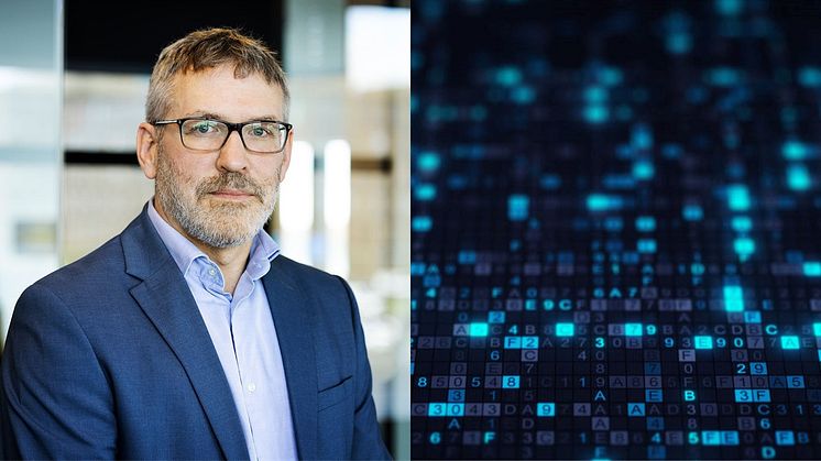 Många företag är sårbara inför Black Friday – hälften saknar grundläggande säkerhetsskydd