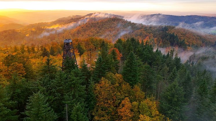 Der Ebersnackenturm im Herbst