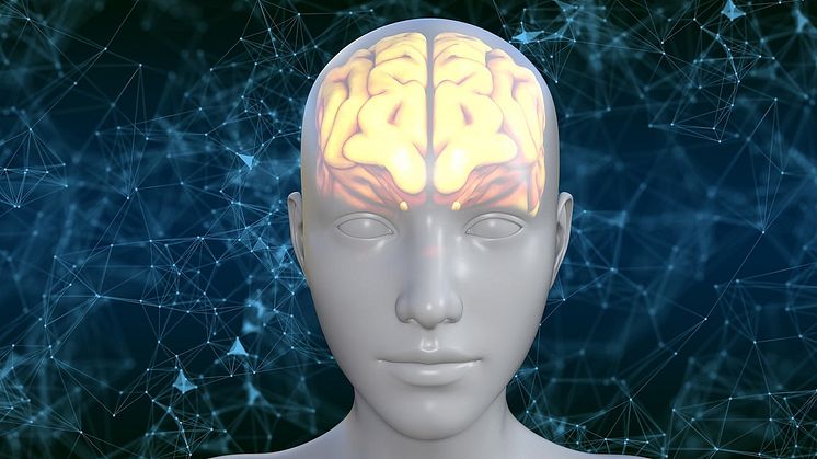 Ny forskning avslöjar hjärnans koppling till anhedoni hos psykiatriska patienter Pixabay CC0